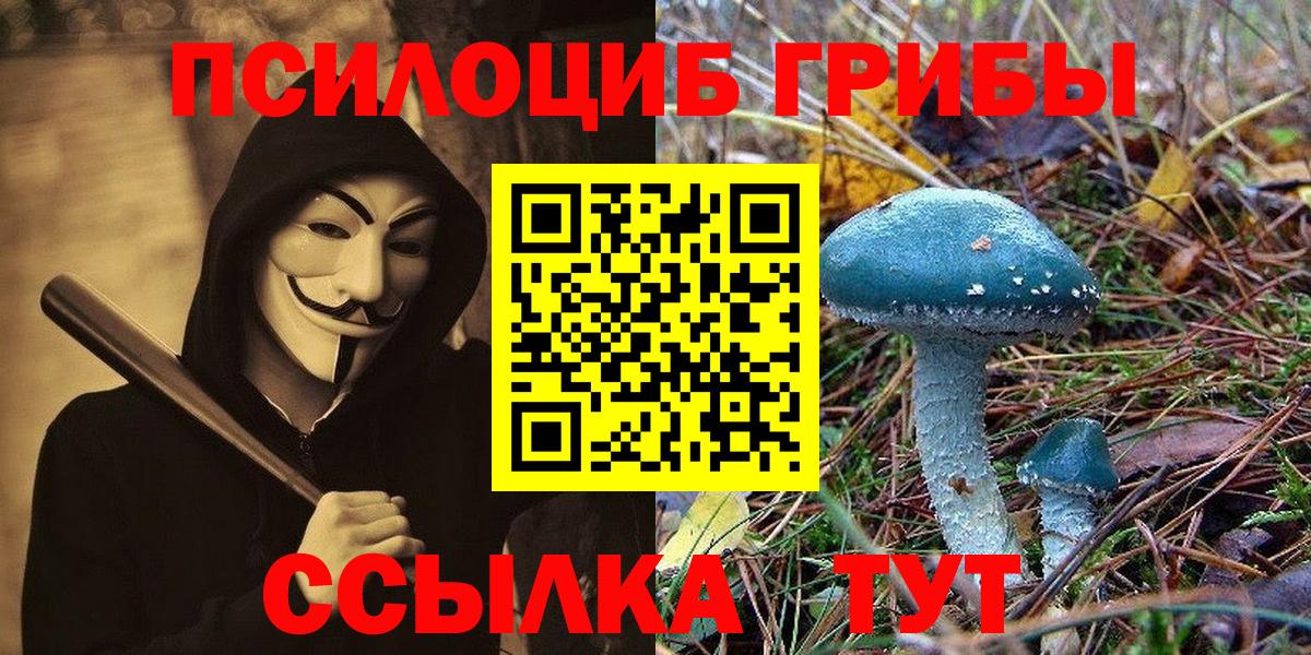 Галлюциногенные грибы Magic Shrooms  Вход с VPN  Тверь  Галлюциногенные грибы Psilocybine cubensis 